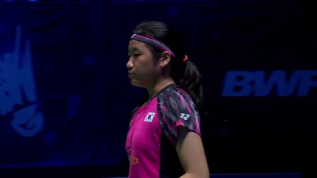 不仅展示了 不仅展示了